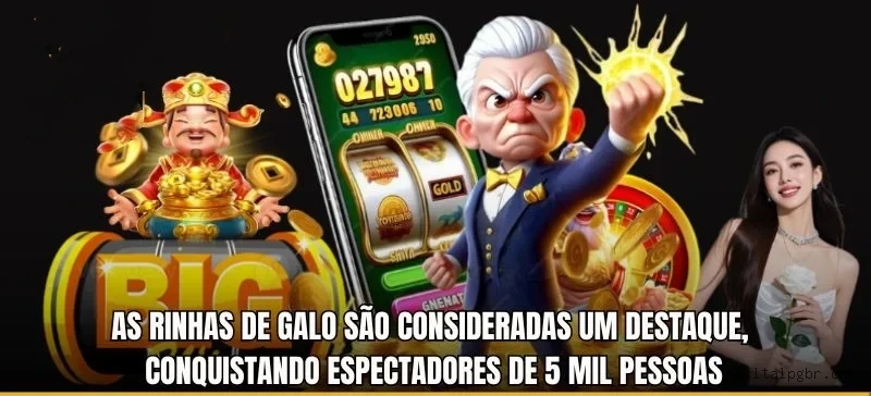 Interface de Apostas ao Vivo - Transmissão e Odds em Tempo Real
